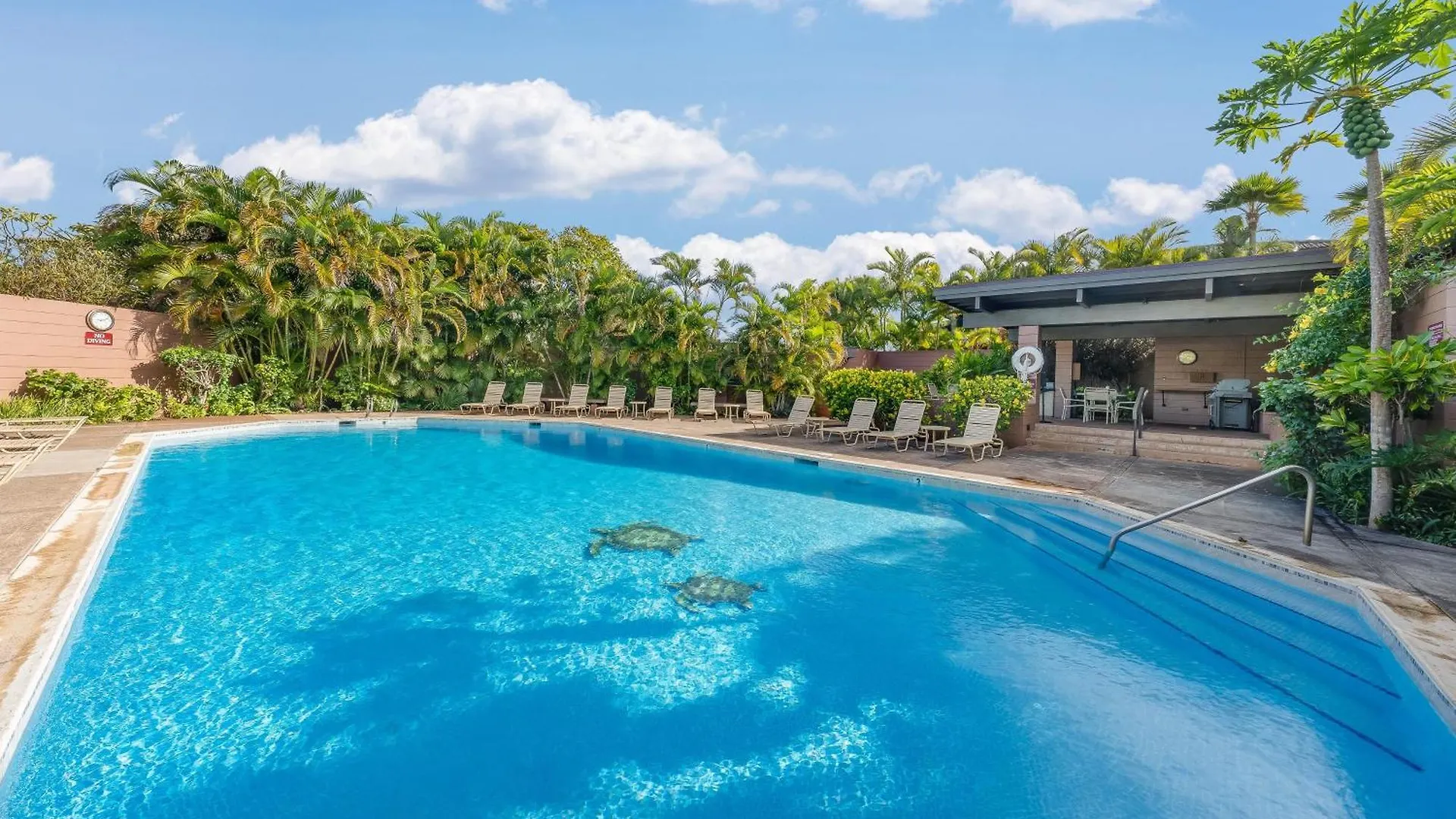 Dom wakacyjny Kapalua Ridge Villas 1612 Kahana Stany Zjednoczone Ameryki